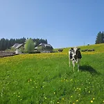 Lorenzenhaeusle * Titisee-Neustadt