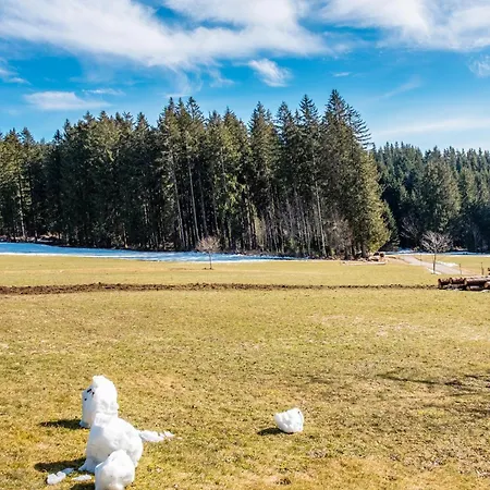 Lorenzenhaeusle * Titisee-Neustadt