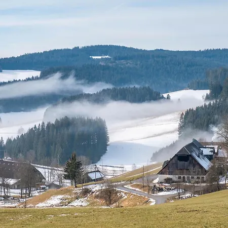 Lorenzenhaeusle Apartment Titisee-Neustadt