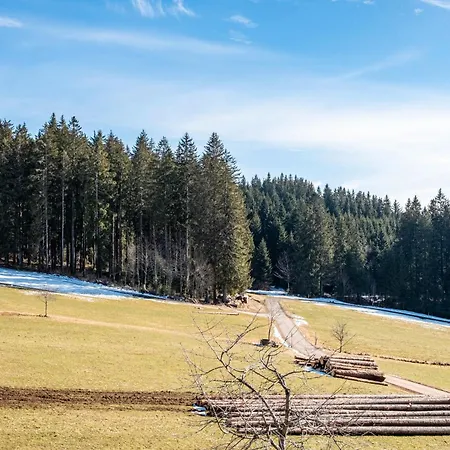 Lorenzenhaeusle Appartement Titisee-Neustadt