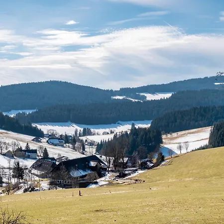 Lorenzenhaeusle * Titisee-Neustadt