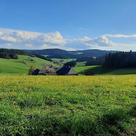 Lorenzenhaeusle * Titisee-Neustadt