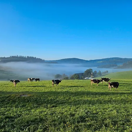 Lorenzenhaeusle Apartmán Titisee-Neustadt