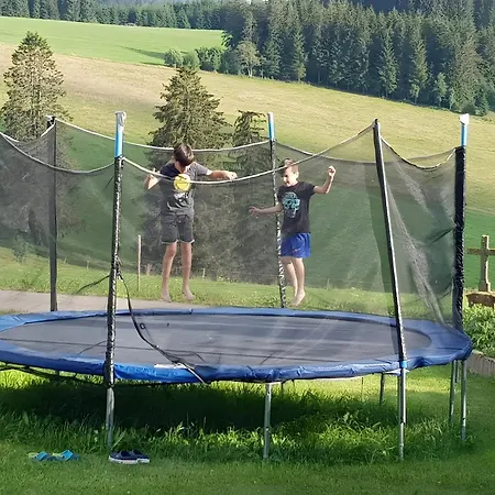 Apartamento Lorenzenhaeusle Titisee-Neustadt