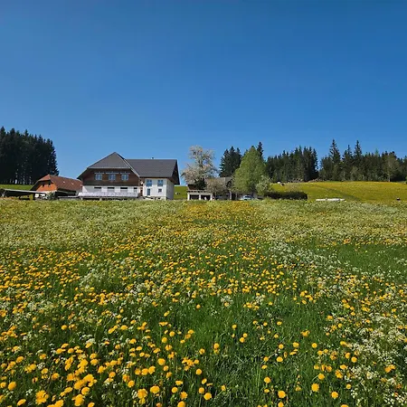Lorenzenhaeusle Apartment