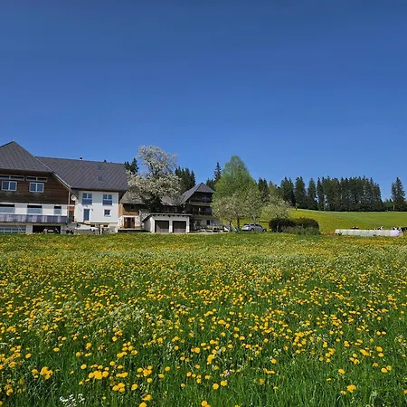 Lorenzenhaeusle Titisee-Neustadt